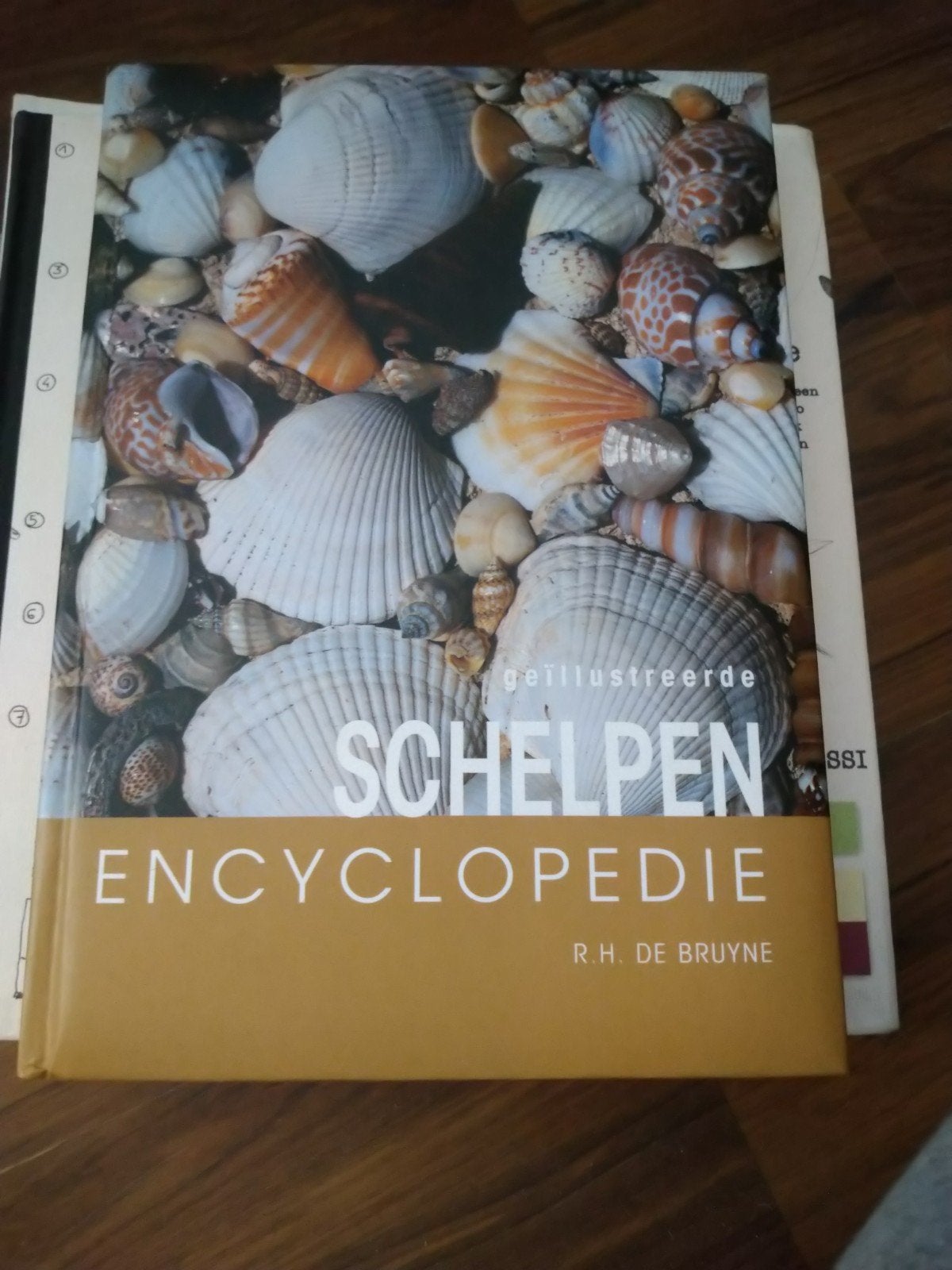 R.H. de Bruyne - Schelpen encyclopedie, Ophalen of Verzenden, Gelezen, R.H. de Bruyne