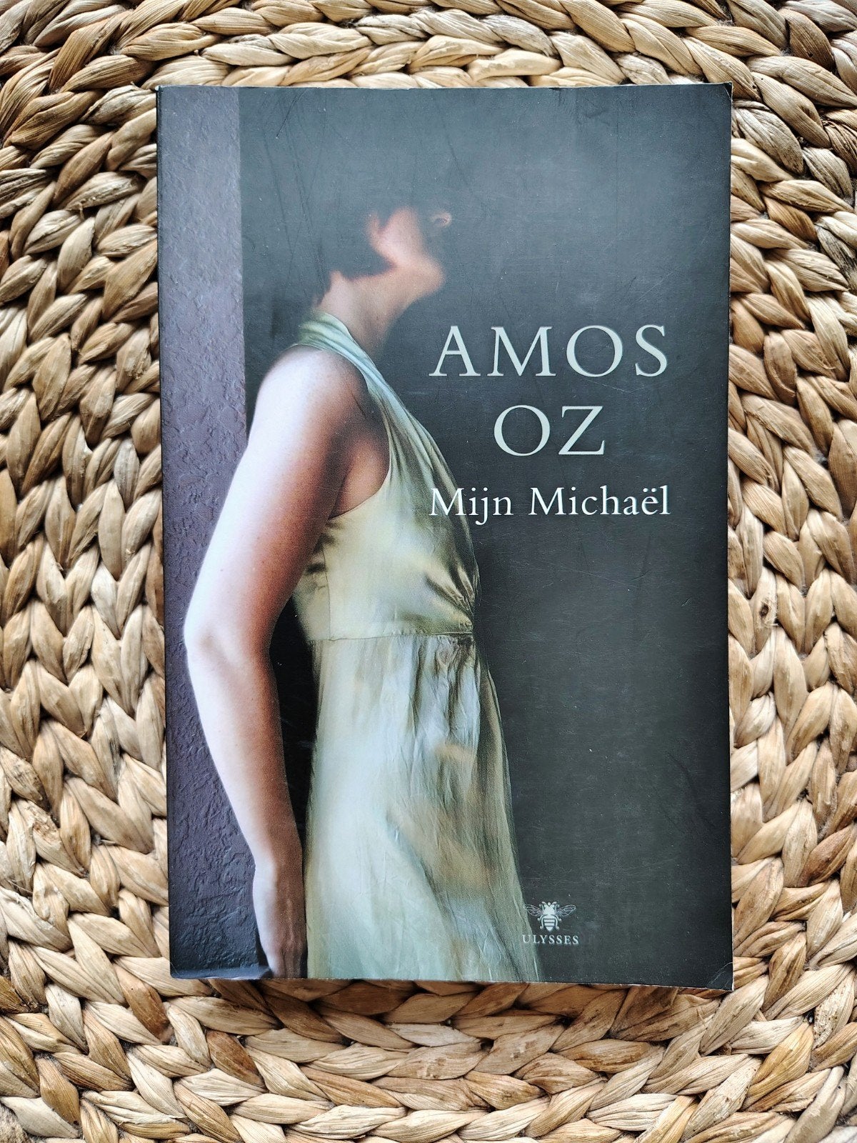 Amos Oz - Mijn Michaël, Boeken, Ophalen of Verzenden, Zo goed als nieuw