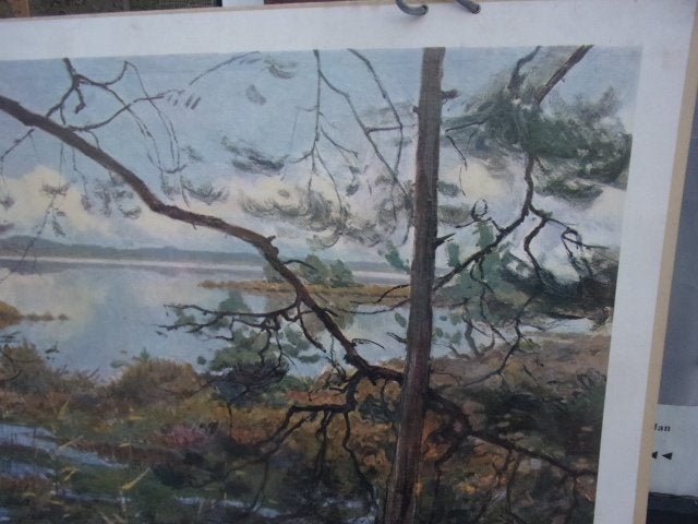 Schoolplaat Ven bij Oisterwijk ca. 1930 H.J. Wolter, Ophalen of Verzenden, Natuur en Biologie