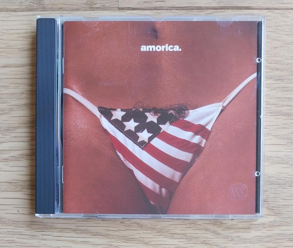 The Black Crowes - Amorica CD, Ophalen of Verzenden, Zo goed als nieuw, Poprock