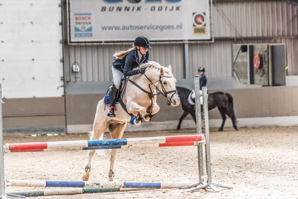 Lease Pony/Paard gezocht, Bijrijder aangeboden!, Ophalen of Verzenden