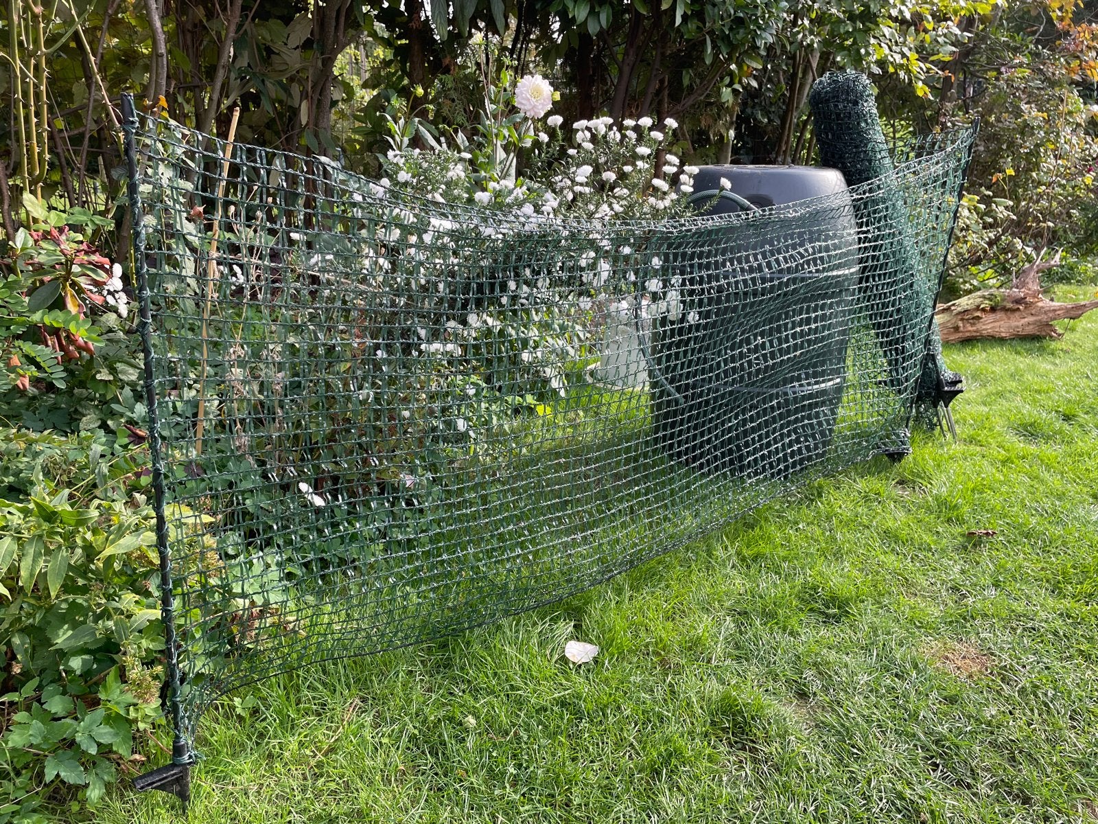 Voss Afrasteringsnet 20m x 80cm met 17 palen, Ophalen, Gebruikt, Kunststof, Gaashekwerk