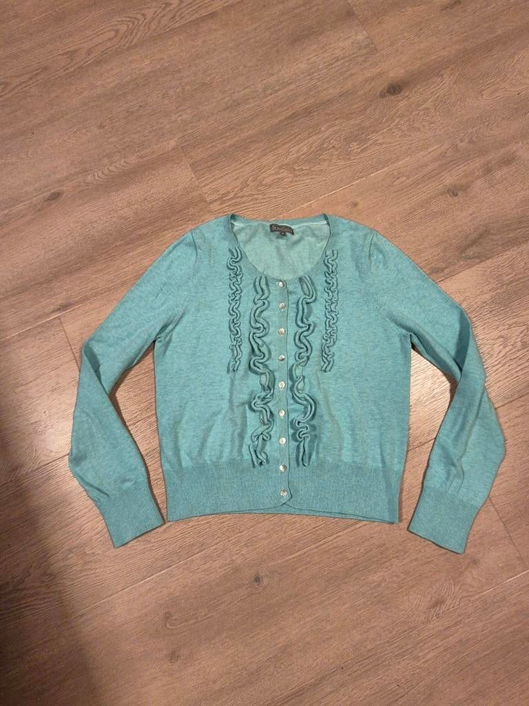 Vest maat M, Kleding | Dames, Ophalen of Verzenden, Zo goed als nieuw, Maat 38/40 (M), Groen