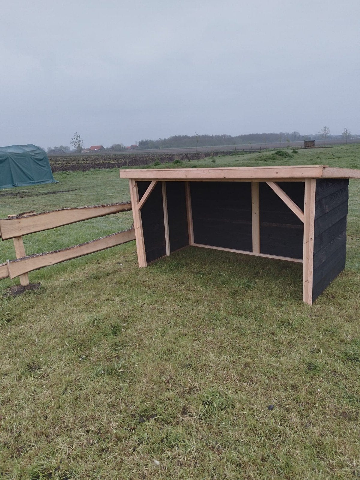 Schuilstal laag, Douglas, in delen, Geslacht onbekend, Schaap