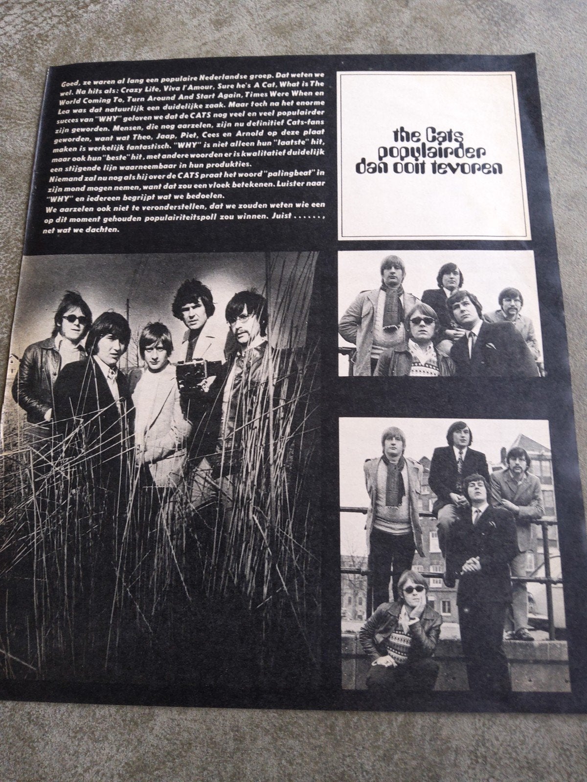 The Cats"     muziek expres 60's, Ophalen of Verzenden, Boek, Tijdschrift of Artikel
