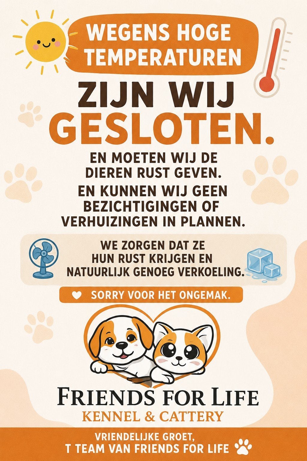 mooie boomerpups, Dieren en Toebehoren, Honden | Chihuahua's en Gezelschapshonden, Nederland, Parvo, Overige rassen, 8 tot 15 weken