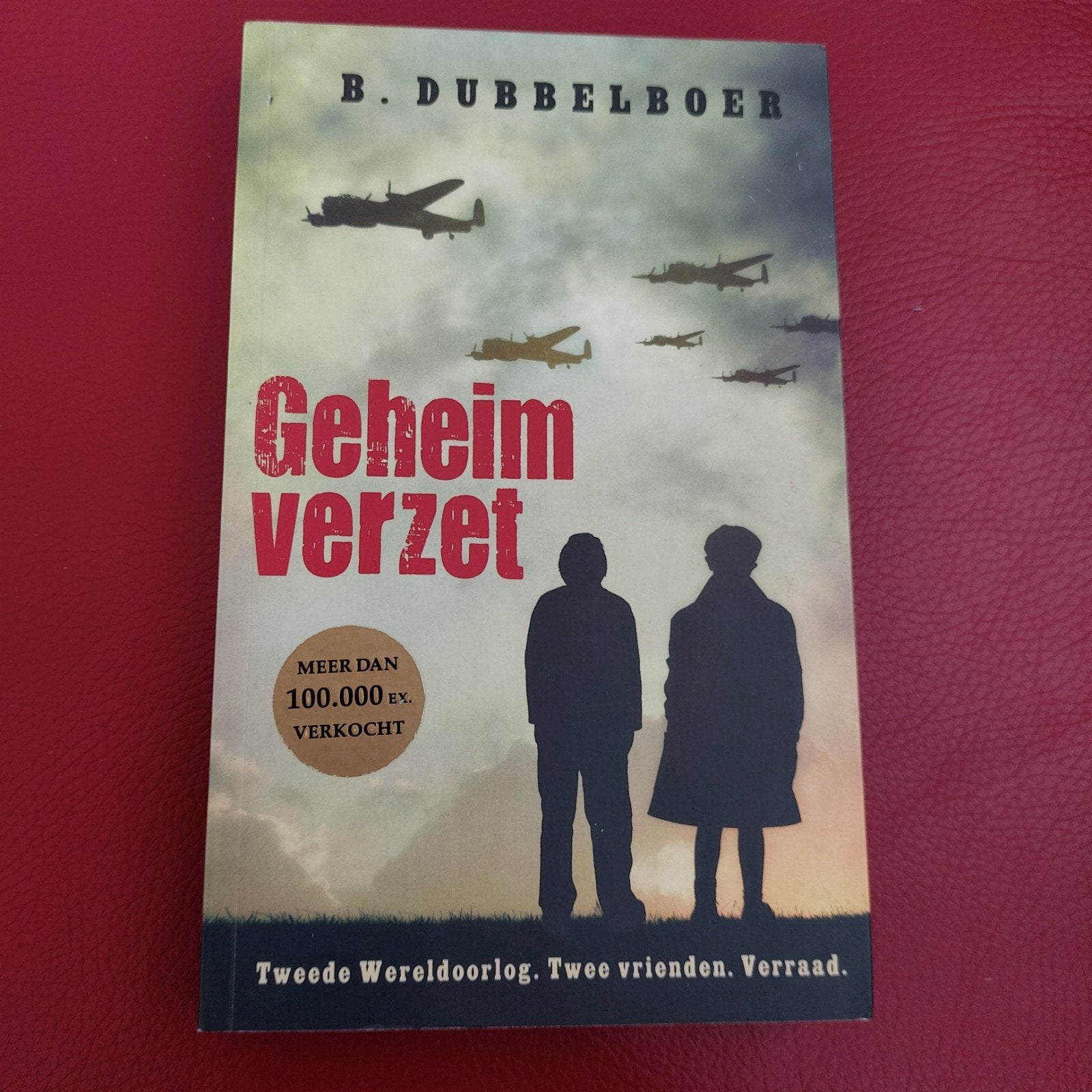 Geheim Verzet - B. Dubbelboer (Tweede Wereldoorlog), Boeken, Ophalen of Verzenden, 20e eeuw of later, Gelezen, B. Dubbelboer