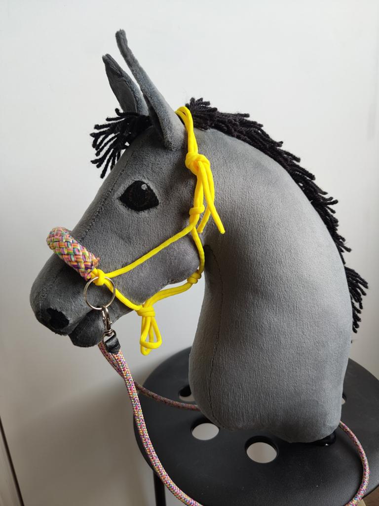 Touwhalster + teugels voor hobbyhorse, Hobby en Vrije tijd, Ophalen of Verzenden