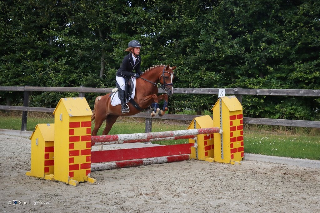 Allerliefst  Kinderpony, Dieren en Toebehoren, Pony's, Merrie, Springpony, 7 tot 10 jaar, B pony (1.17m tot 1.27m)