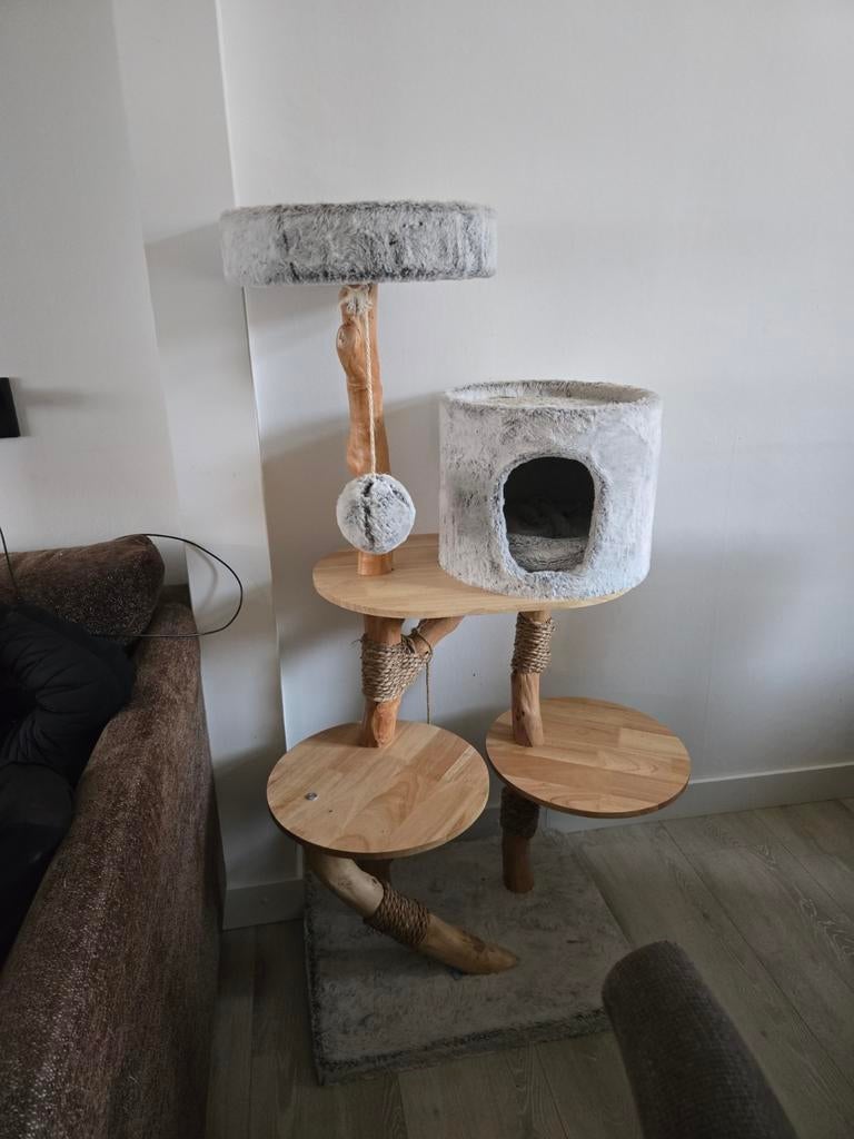 Krappaal boom, Ophalen