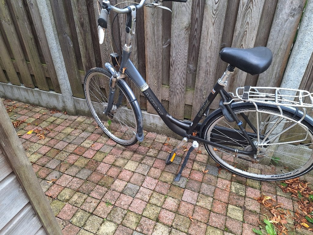 batavus dames fiets, Fietsen en Brommers, Fietsen | Dames | Damesfietsen, Ophalen, Gebruikt, Versnellingen, Batavus