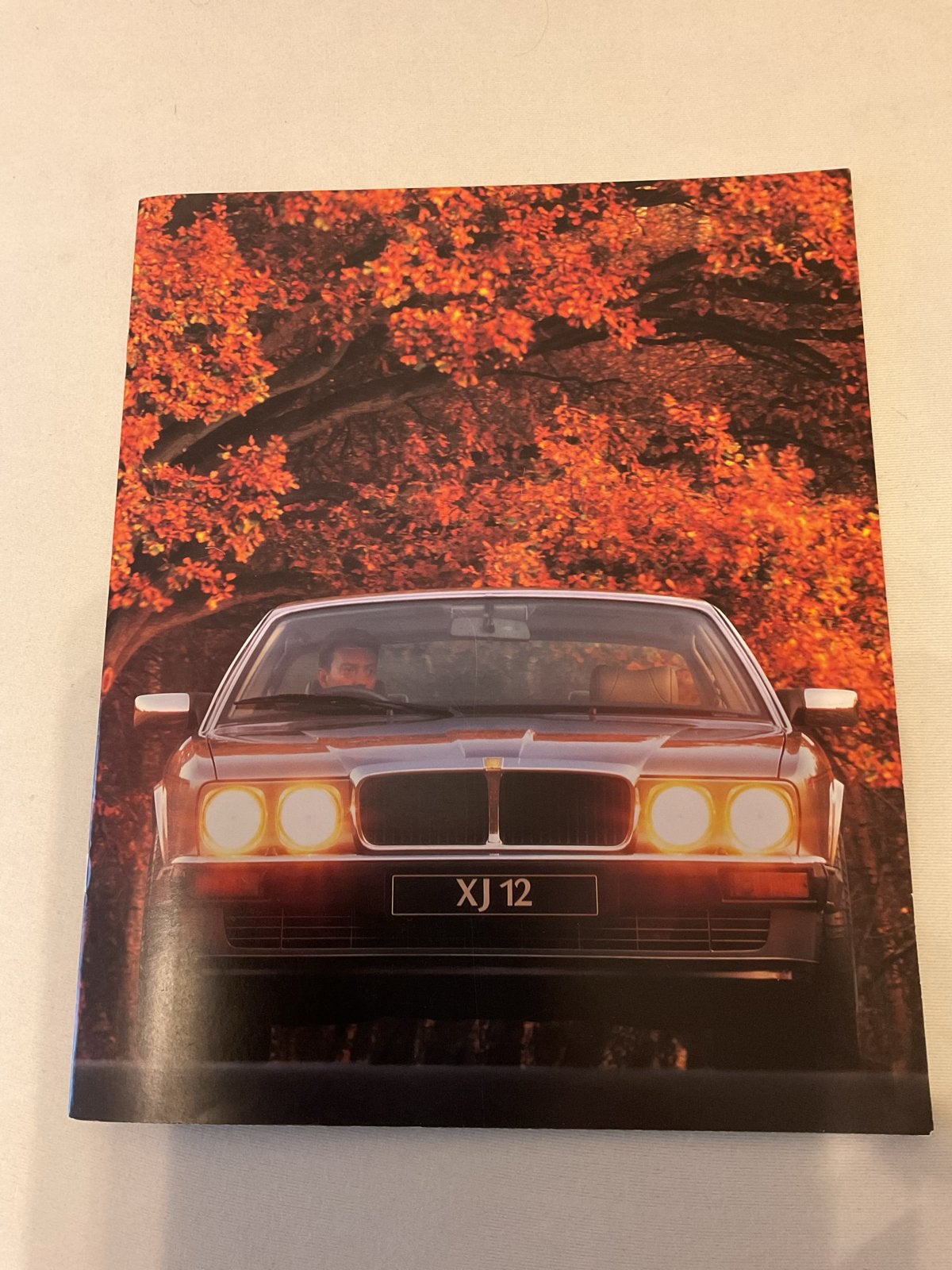 Jaguar XJ12 Brochure - Klassieke Auto Documentatie, Ophalen of Verzenden, Zo goed als nieuw, Overige merken