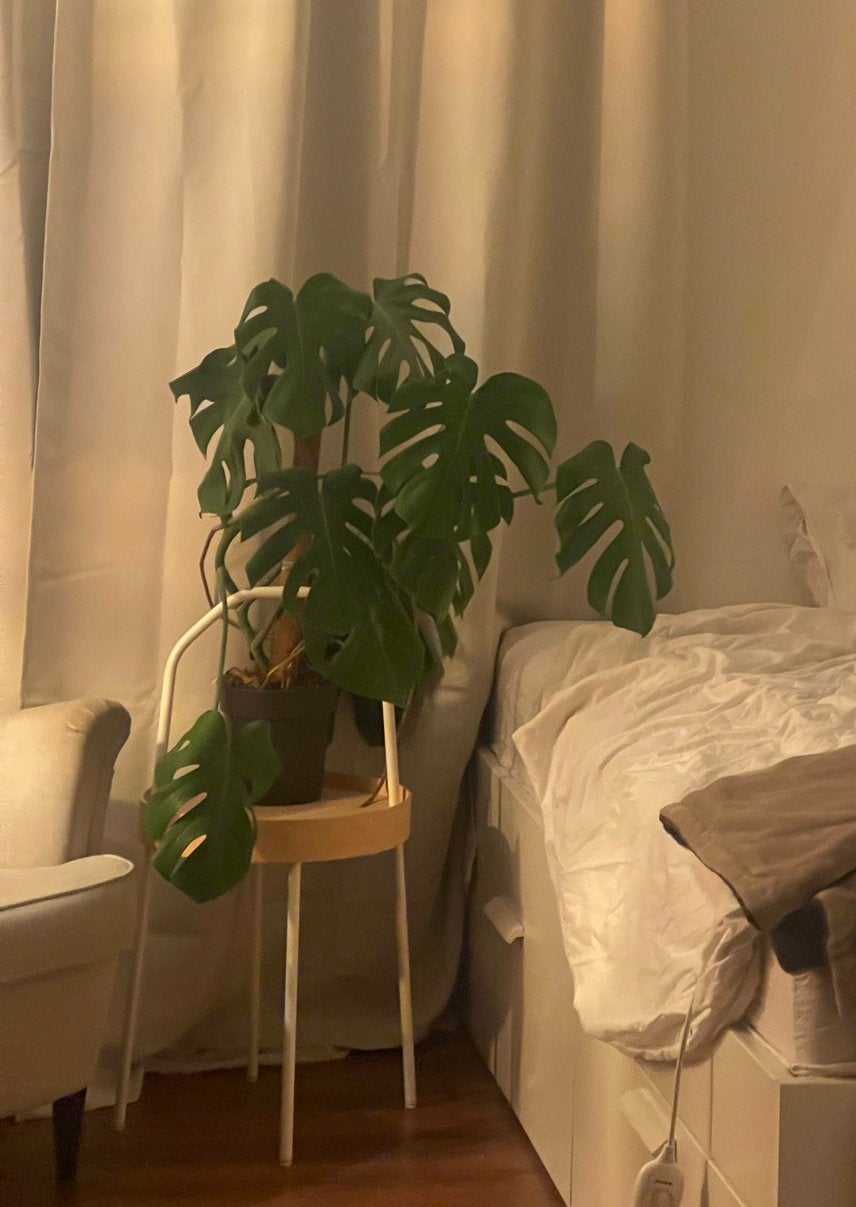 IKEA BURVIK bijzettafel – hout/wit, Minder dan 55 cm, Rond, Zo goed als nieuw, Hout