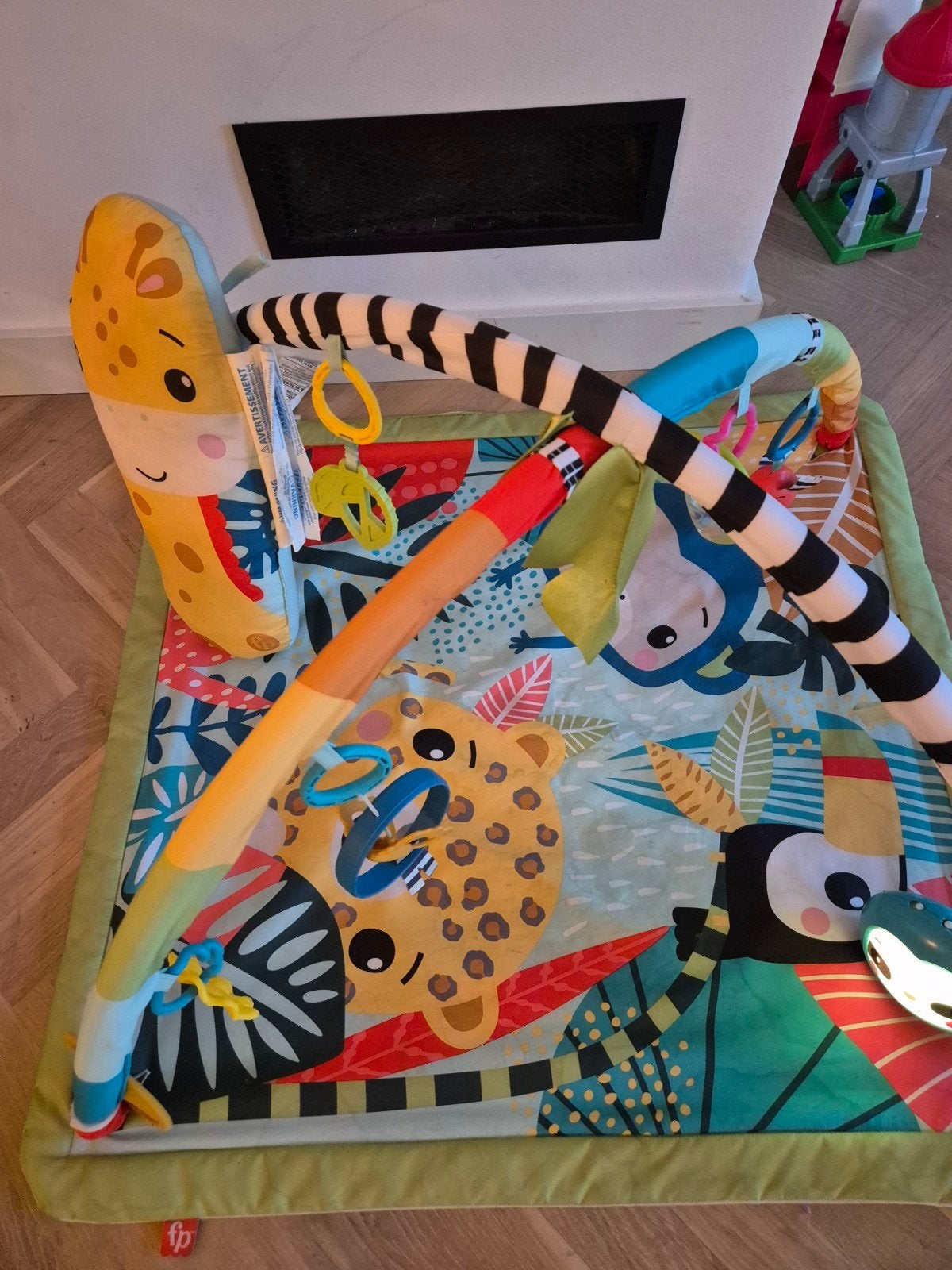 Babygym Fisher-Price, Ophalen, Gebruikt