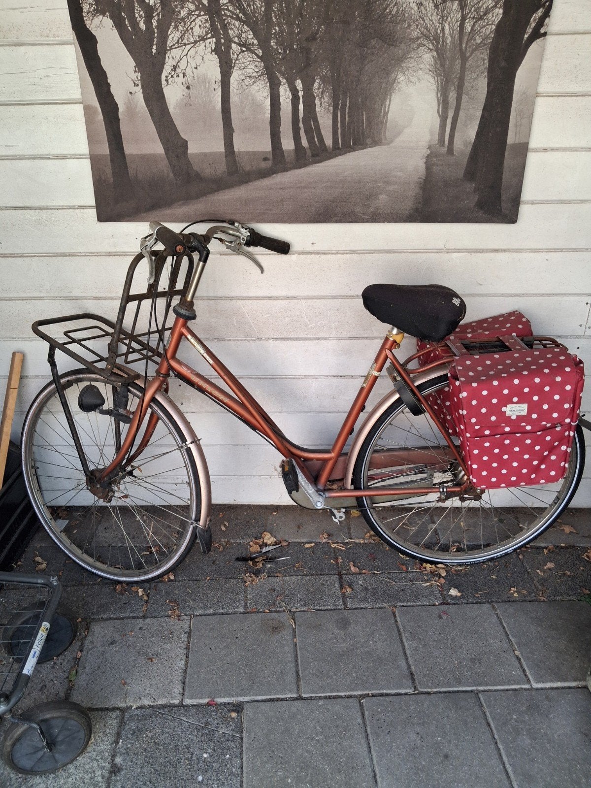 Oude Onion fiets, Ophalen, Gebruikt, Versnellingen