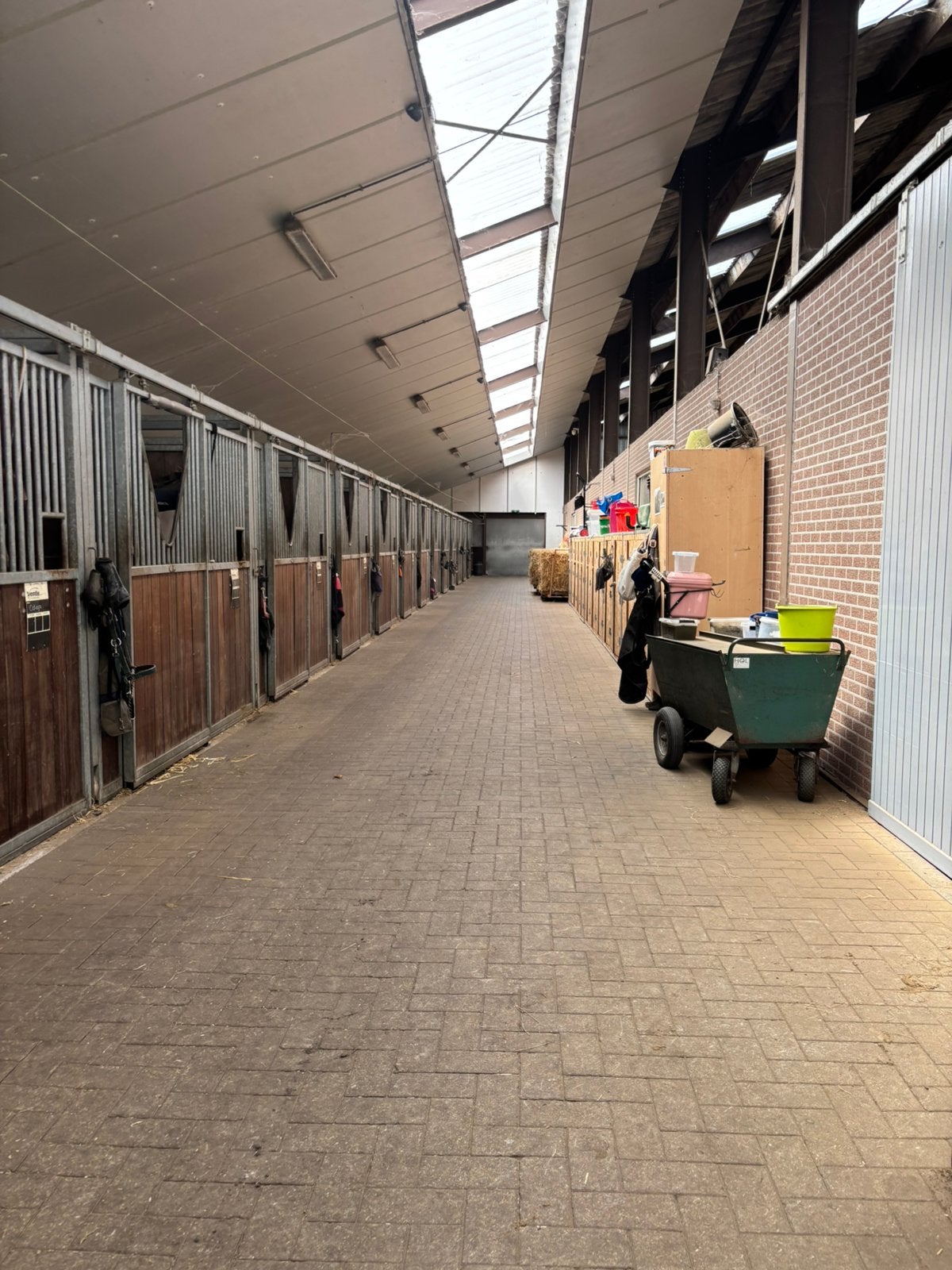 Vol pension aangeboden, Stalling, 2 of 3 paarden of pony's