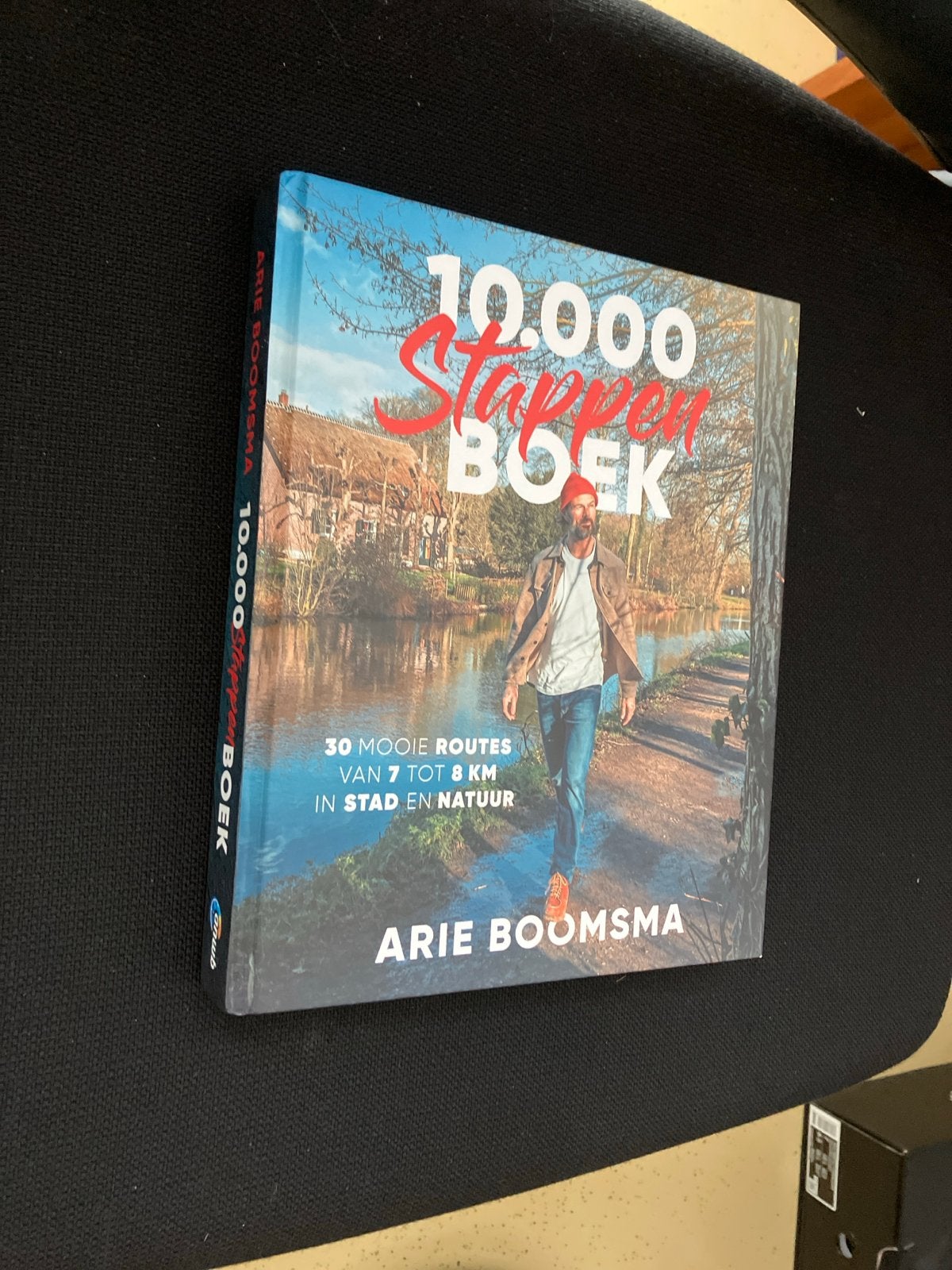 Arie Boomsma 10.000 Stappenboek - Wandelgids, Overige merken, Fiets- of Wandelgids, Europa, Ophalen of Verzenden