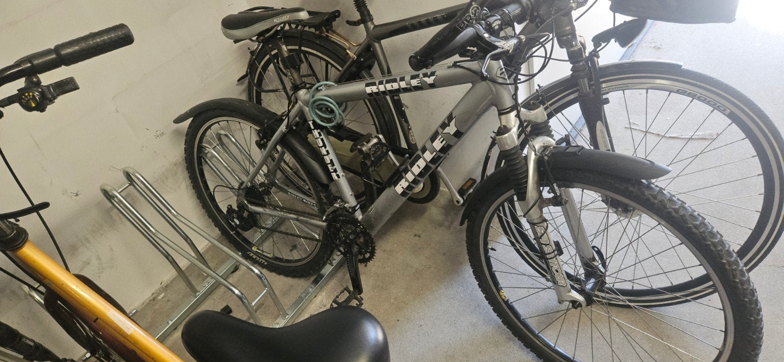 Ridley mountainbike - Gebruikt, goede staat, Gebruikt, Hardtail, 53 tot 57 cm, Ophalen