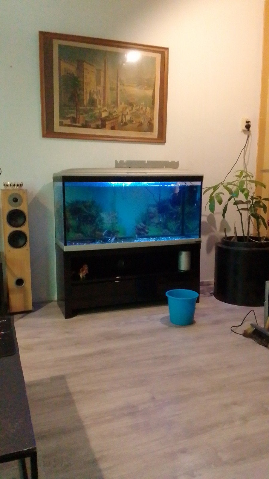 Aquarium Terplast Grijs 400 liter, Dieren en Toebehoren, Vissen | Aquaria en Toebehoren, Ophalen of Verzenden, Inclusief toebehoren