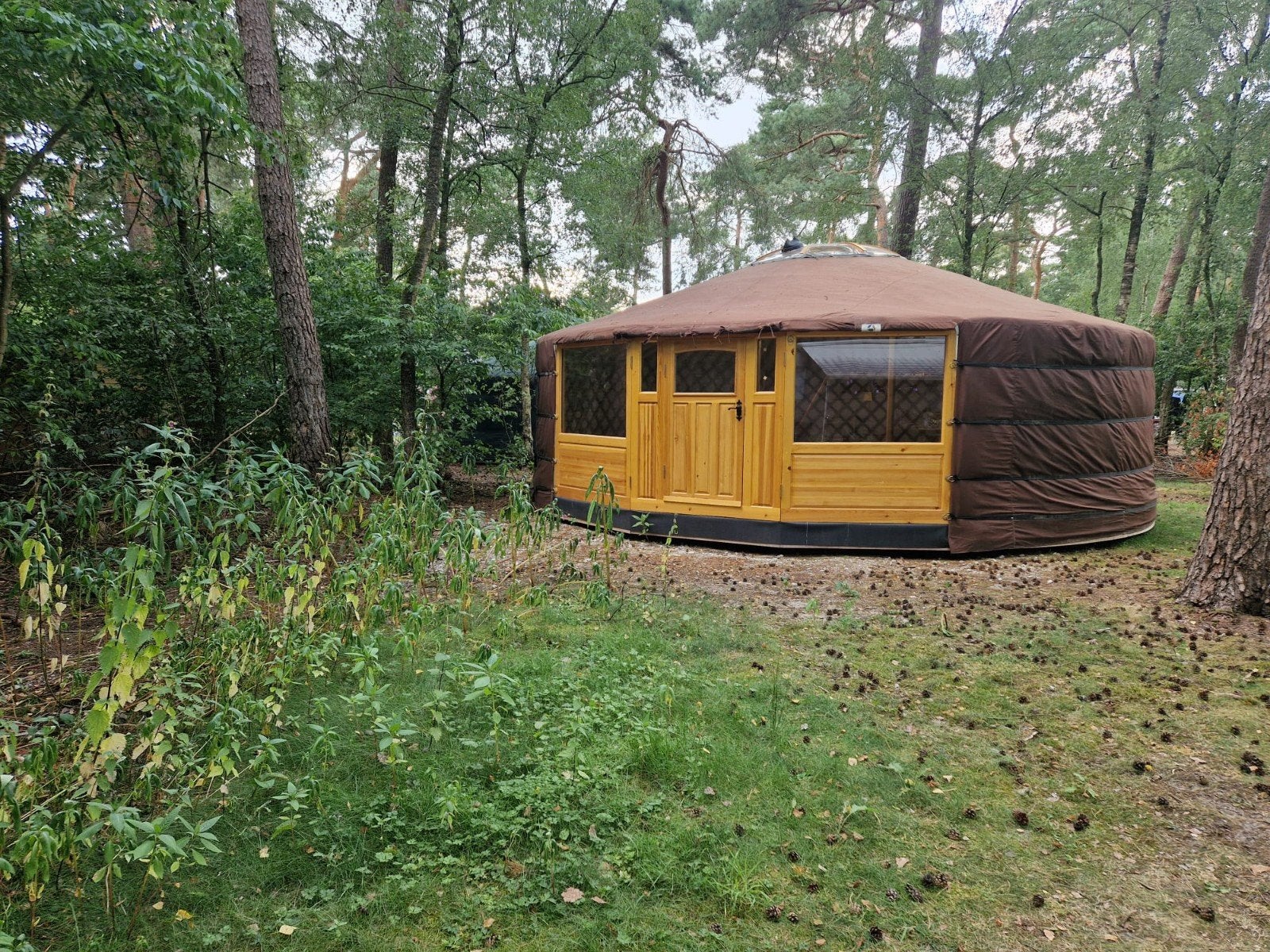 Te koop. Nieuwe Yurt midden in de bossen., Ophalen