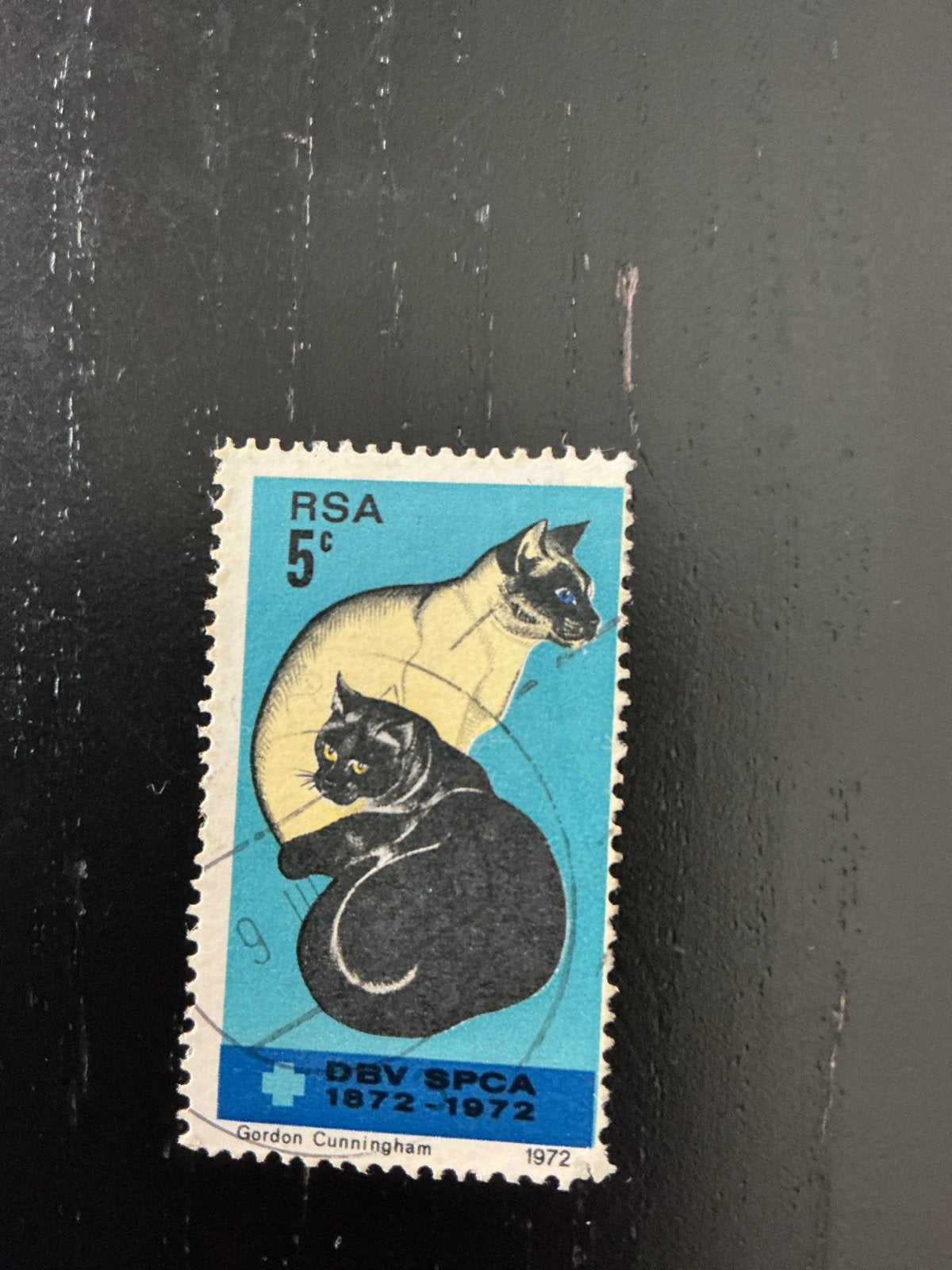 Zuid-Afrikaanse postzegel 1972 - Katten (DBV SPCA), Ophalen of Verzenden, Zuid-Afrika, Gestempeld