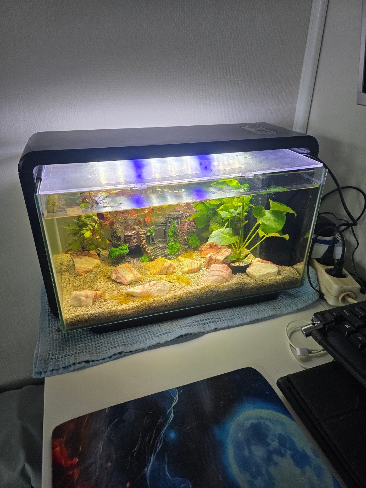 Aquarium home 30, Dieren en Toebehoren, Ophalen, Leeg aquarium