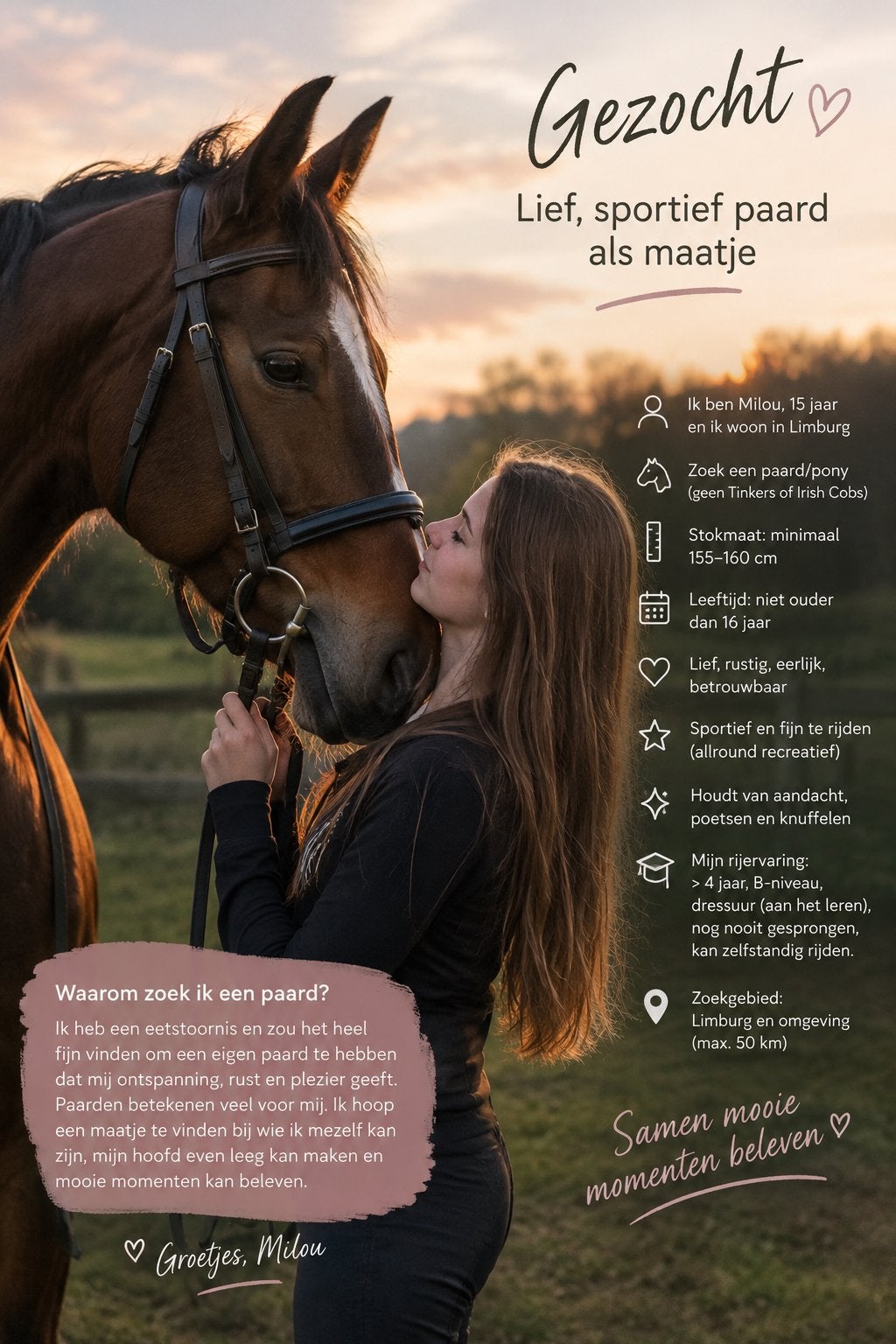 Paard gezocht!!, Ophalen of Verzenden, Rijden