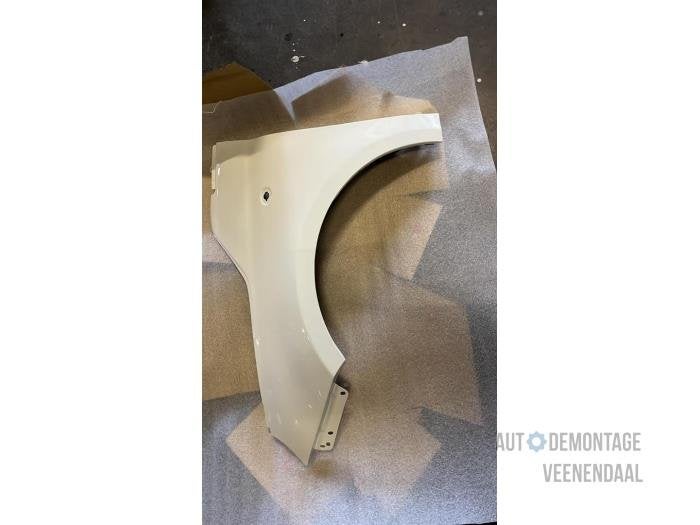 Scherm links-voor van een Fiat 500 (268), -, -, Nieuw, Ophalen of Verzenden