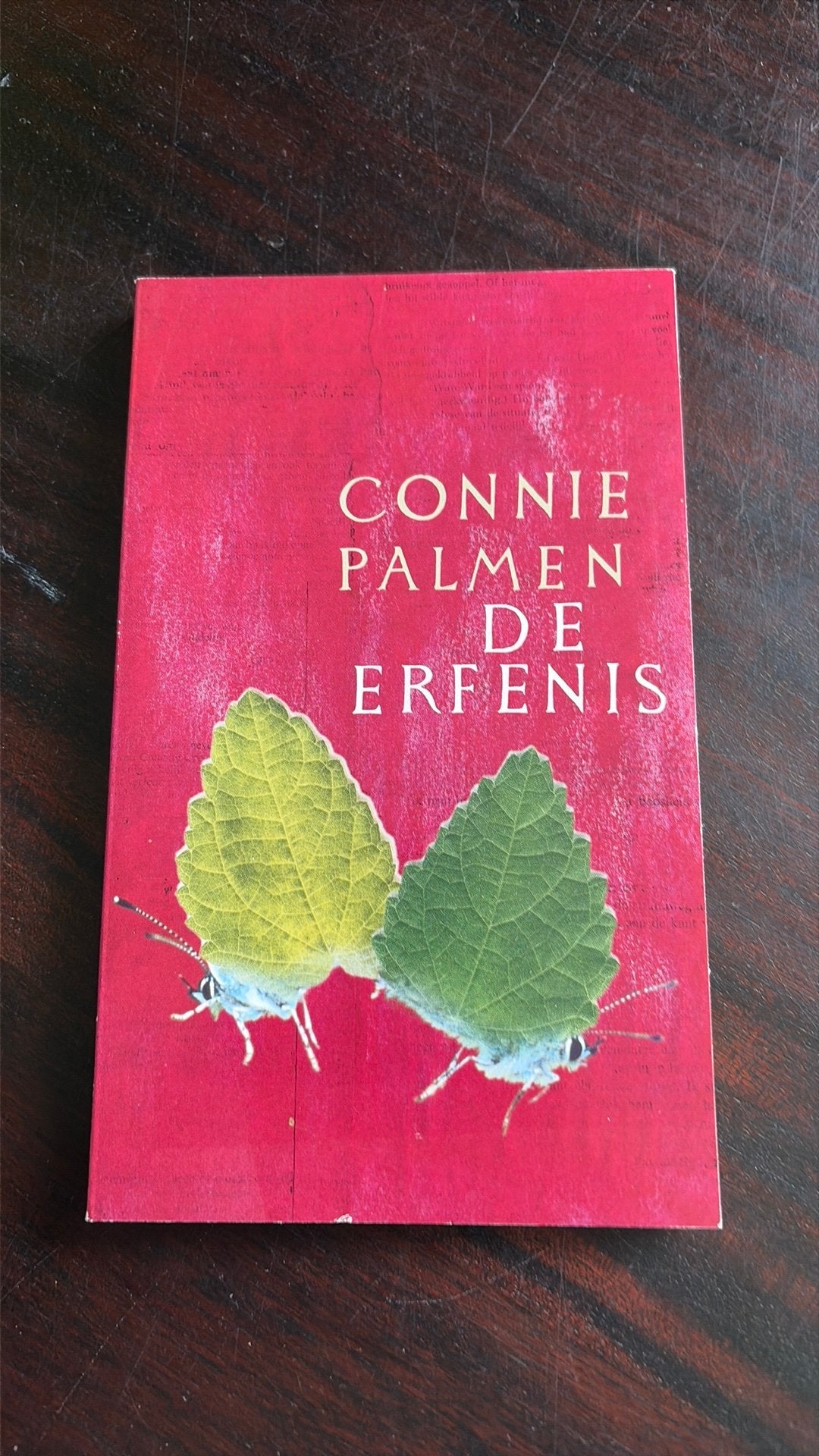 De Erfenis - Connie Palmen, Boeken, Gelezen, Ophalen of Verzenden, Nederland, Connie Palmen