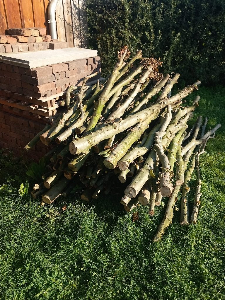 Openhaard of kachel hout beuken, Minder dan 3 m³, Ophalen, Beukenhout, Stammen