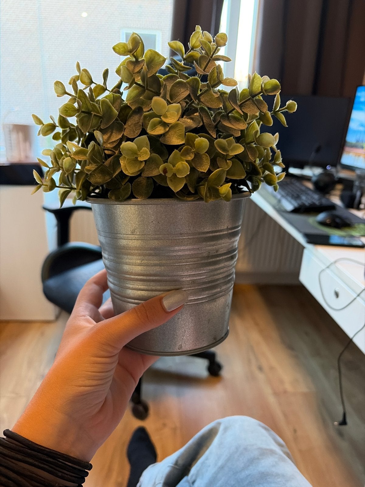 IKEA Kunstplant FEJKA met potje, Ophalen, Binnen, Groen, Kunstplant