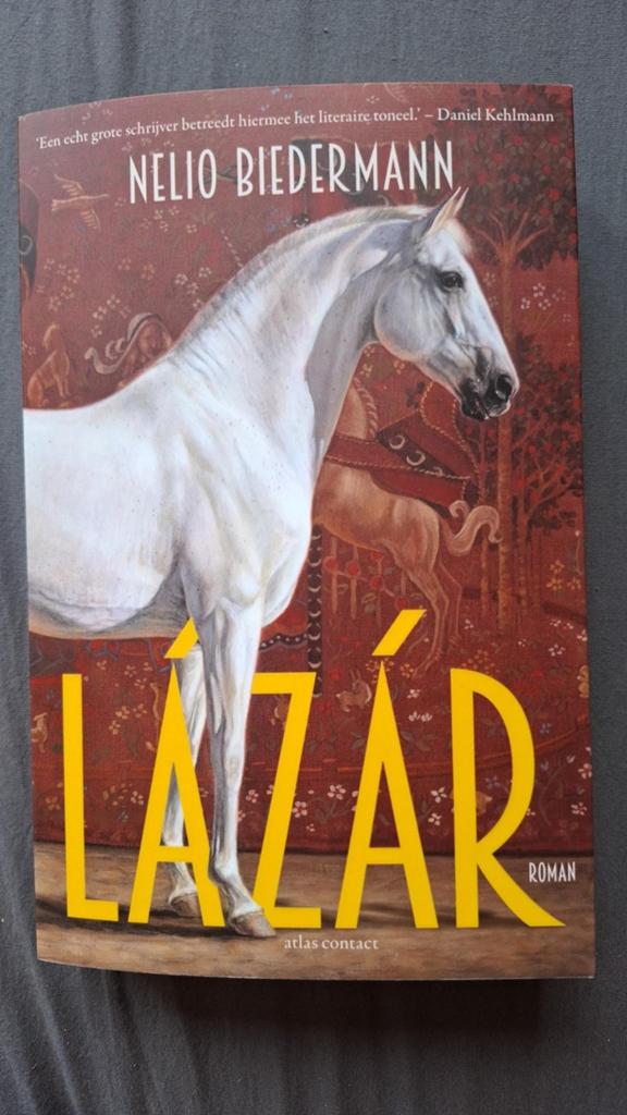 Lázár - Nelio Biedermann - A'dam IJburg, Ophalen, Nieuw, Nelio Biedermann, Nederland