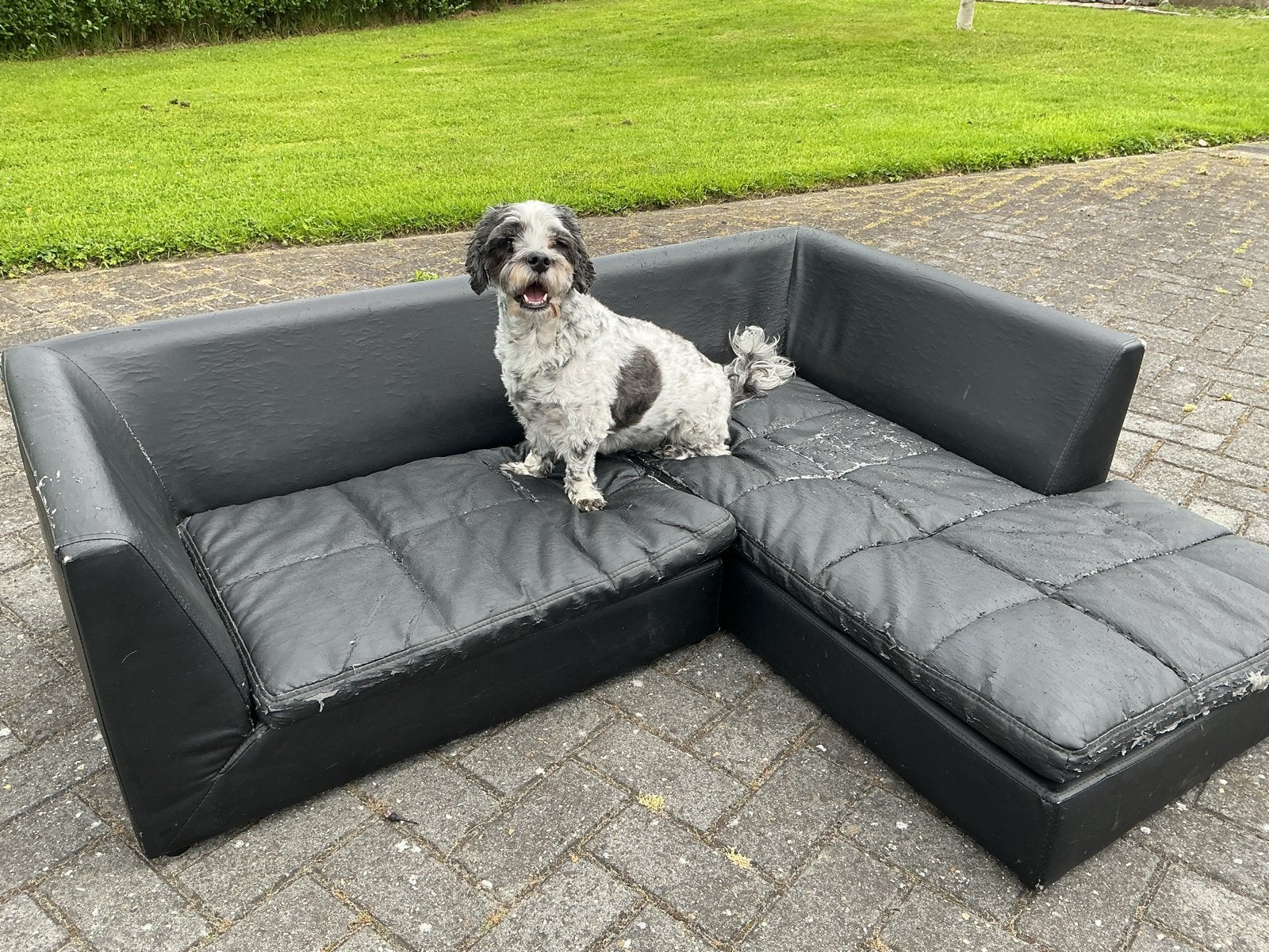 Zwarte hoekbank Nobby Design, compact en stijlvol, Dieren en Toebehoren, Ophalen of Verzenden, Gebruikt
