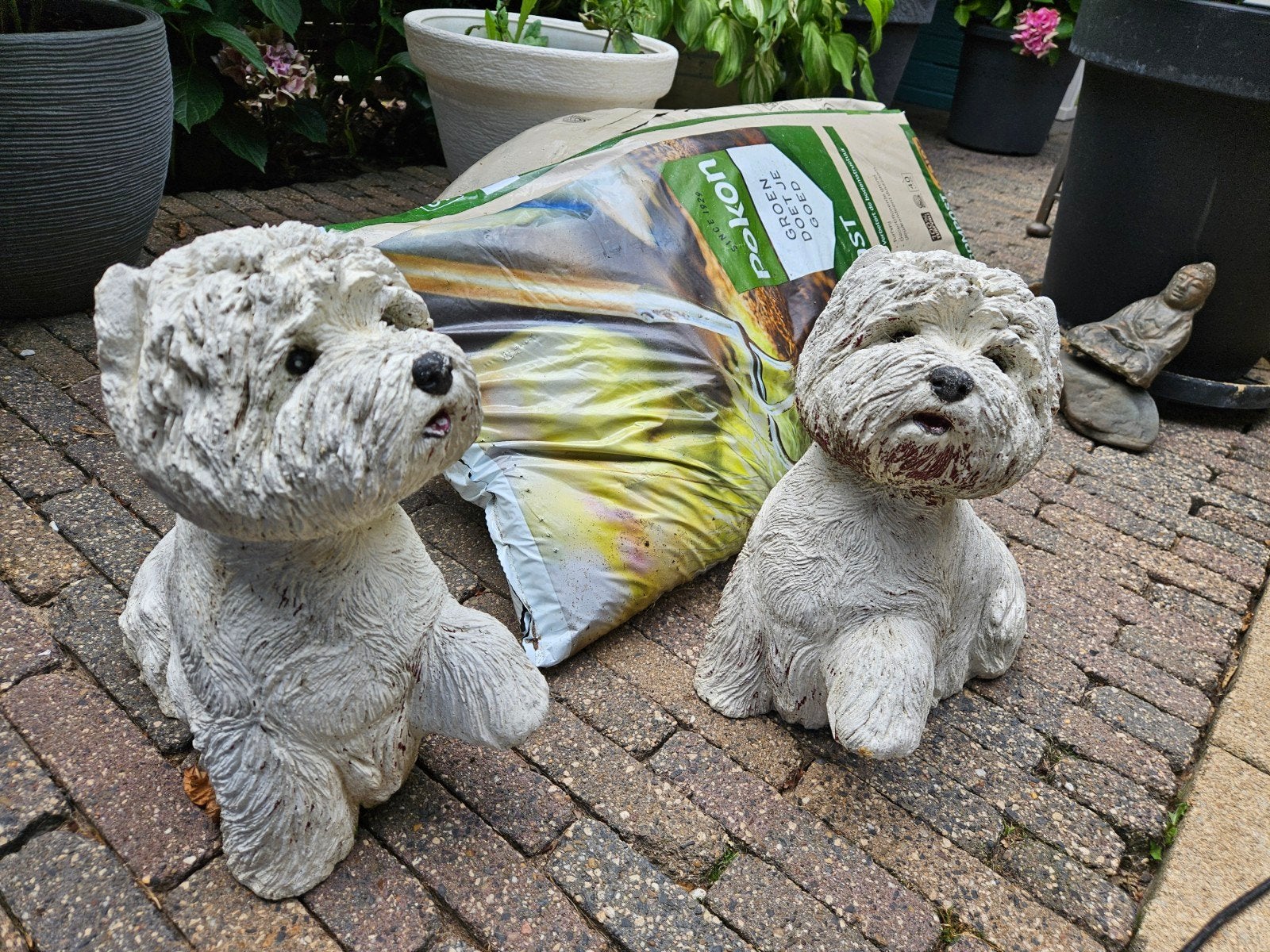 Twee betonnen hondjes, Ophalen
