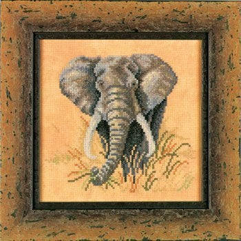 Borduurpakket Olifant 34483, Geen, Geen, Nieuw, Ophalen of Verzenden
