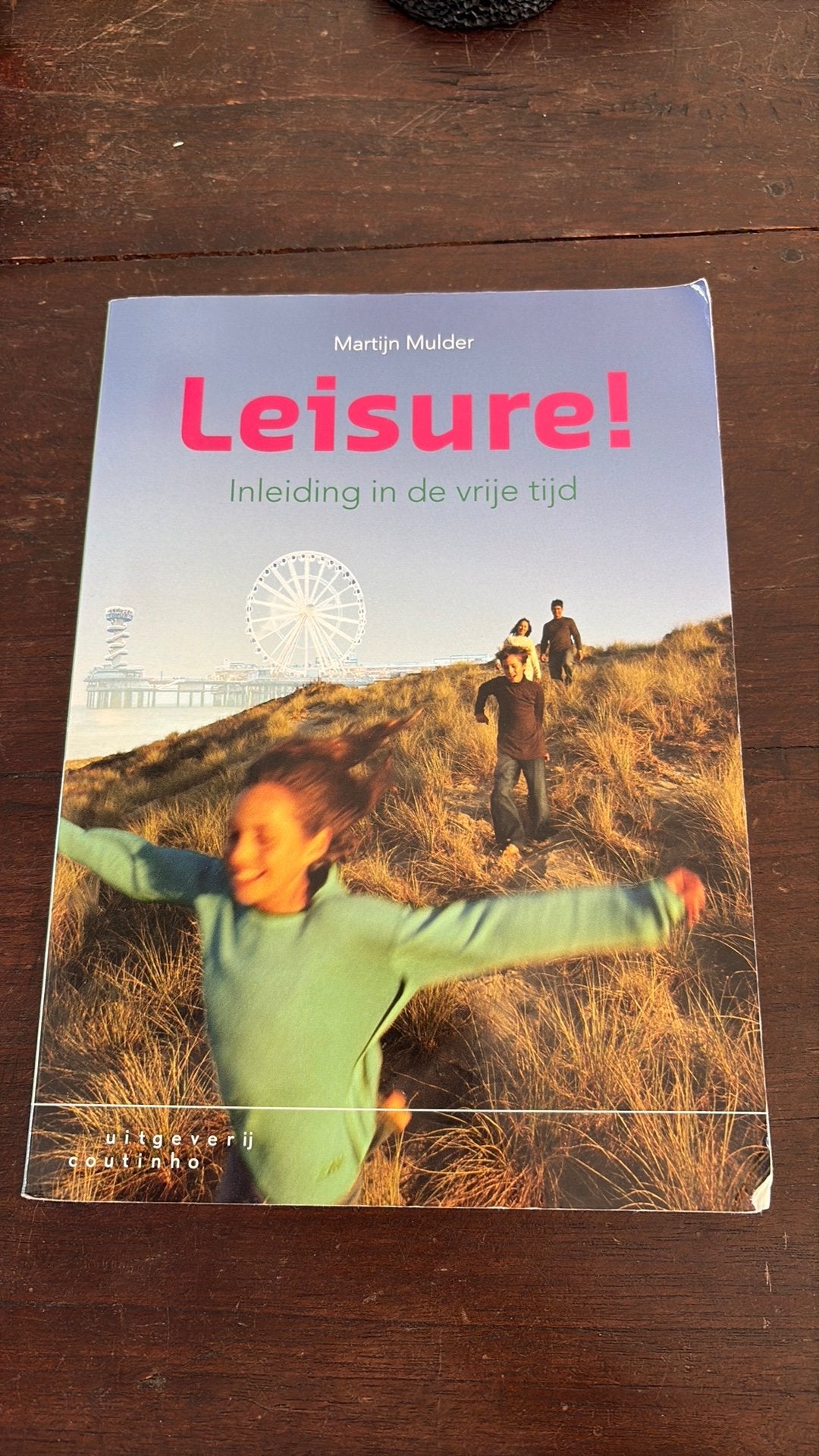 Martijn Mulder - Leisure!, Sociale wetenschap, Ophalen of Verzenden, Zo goed als nieuw, Martijn Mulder
