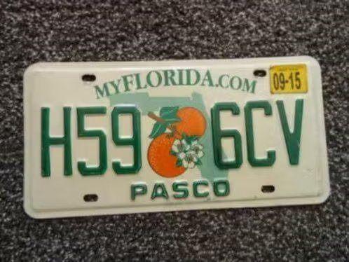 Kentekenplaat licenseplate Florida Pasco 1 USA, Verzenden, Gebruikt, Auto's