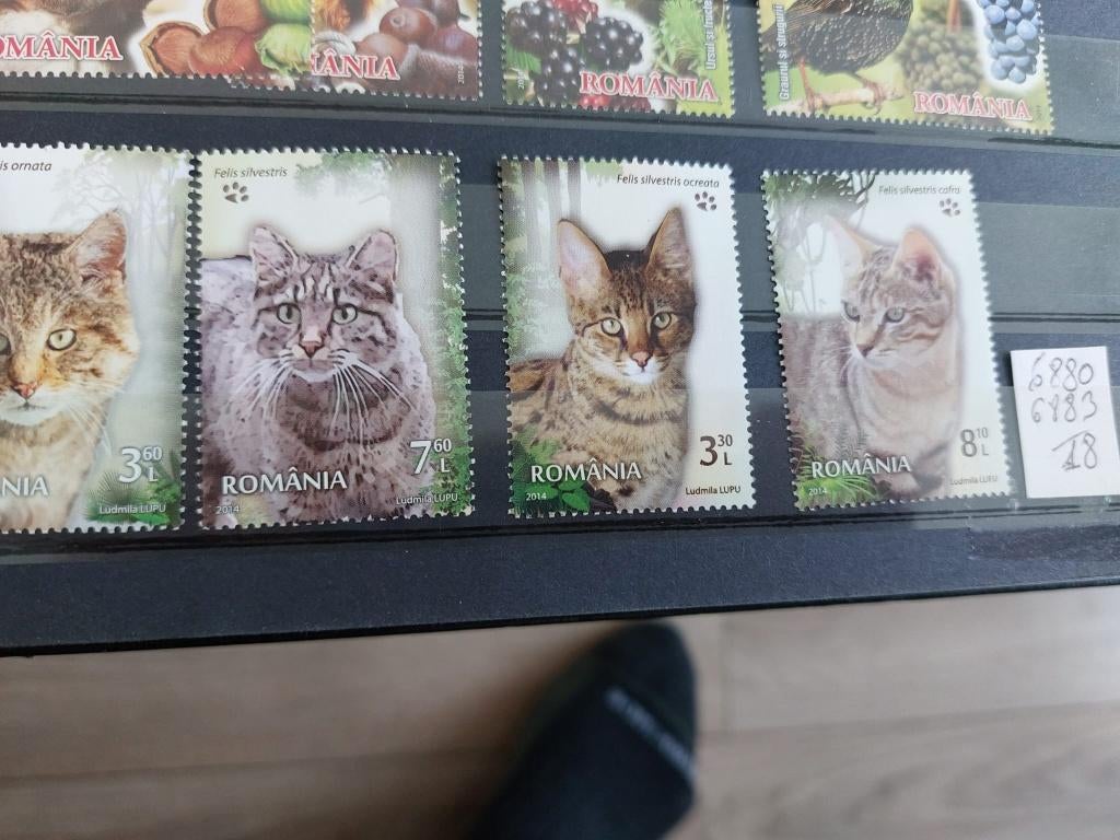 Katten   ROEMENIE, Verzenden, Postfris, Dier of Natuur