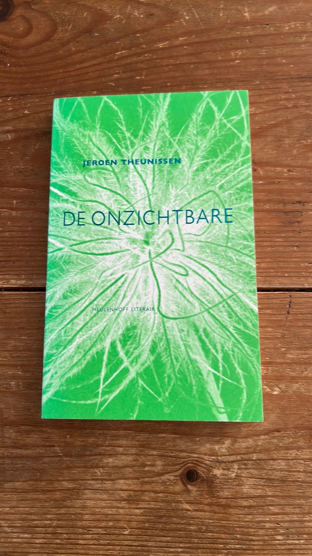 Jeroen Theunissen - De onzichtbare, Boeken, Ophalen of Verzenden, Zo goed als nieuw, Jeroen Theunissen
