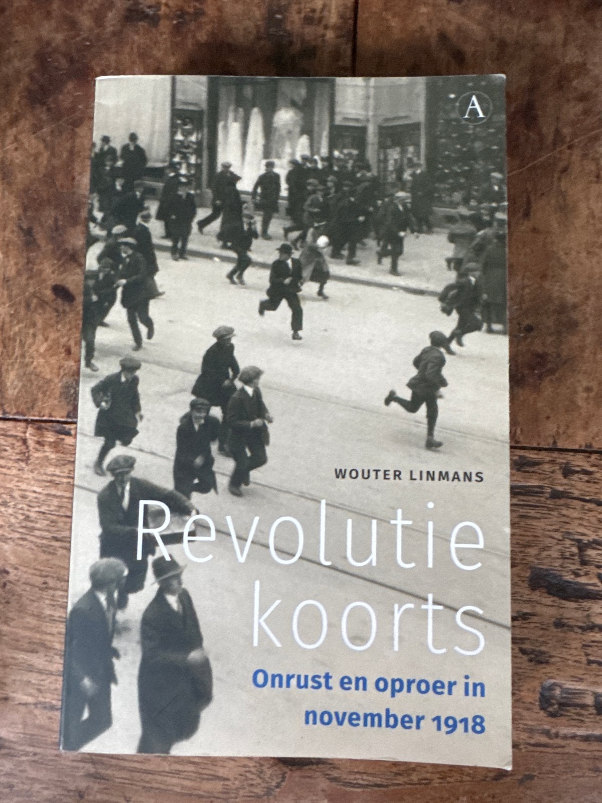 Revolutiekoorts: Onrust en oproer in november 1918, Ophalen of Verzenden, 20e eeuw of later, Zo goed als nieuw, Europa