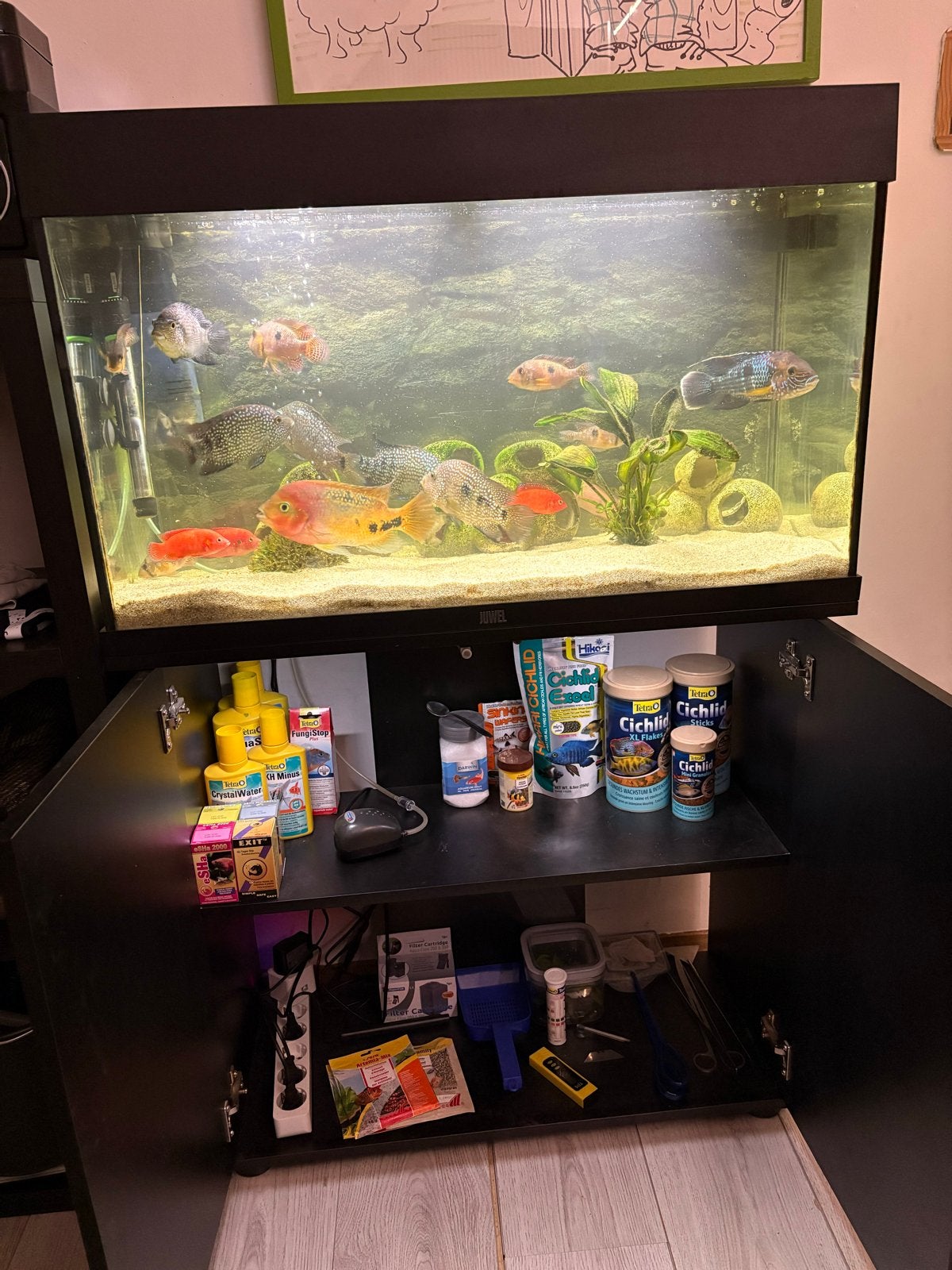 Compleet Juwel Aquarium, Ophalen, Gebruikt, Gevuld zoetwateraquarium, Inclusief vissen