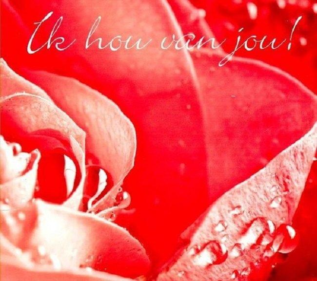 SALE--CD VARIOUS - Ik Hou Van Jou >NIEUW, Verzenden, Nieuw in verpakking, Gospel