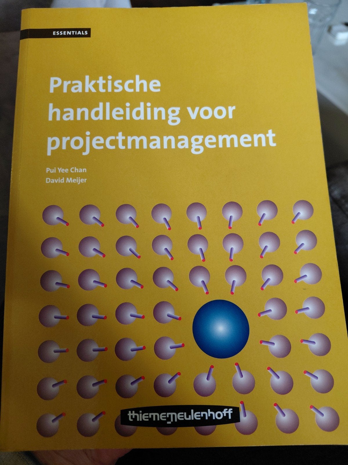 Praktische handleiding voor projectmanagement, Zo goed als nieuw, Gamma, Pui Yee Chan, David Meijer, HBO