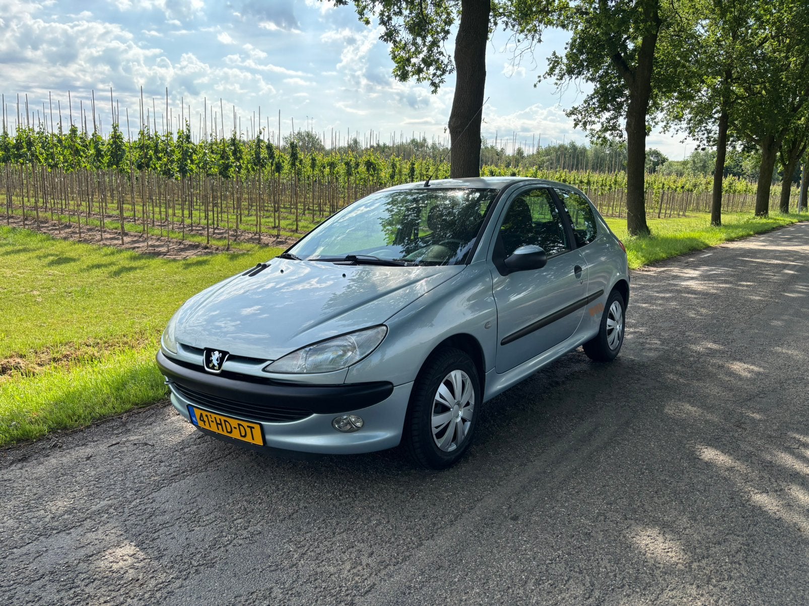 Peugeot 206 1.6 16V XT 3D AUT 2001 Grijs, 1025 kg, 40 €/maand, 4 cilinders, Bedrijf