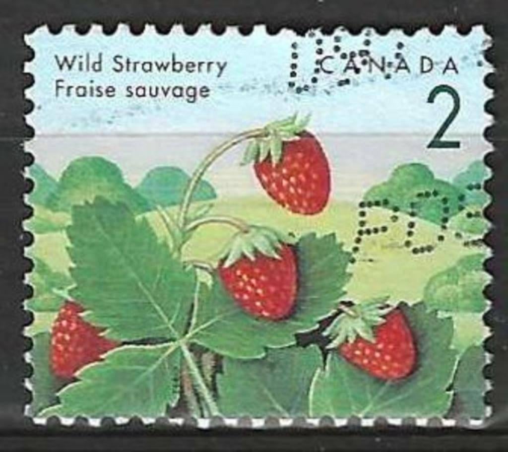 Canada 1992 - Yvert 1263 - Wilde bessen - Aardbeien (ST), Verzenden, Gestempeld, Noord-Amerika