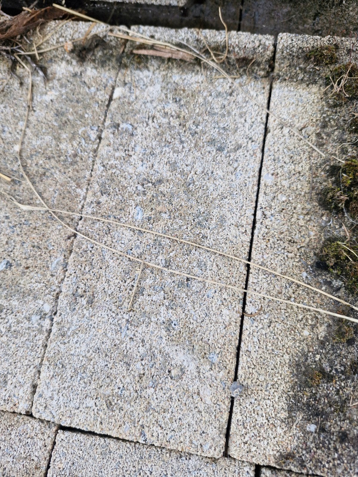 Maasformaat beton metselstenen - ca. 240 stuks, Ophalen, Gebruikt, Beton