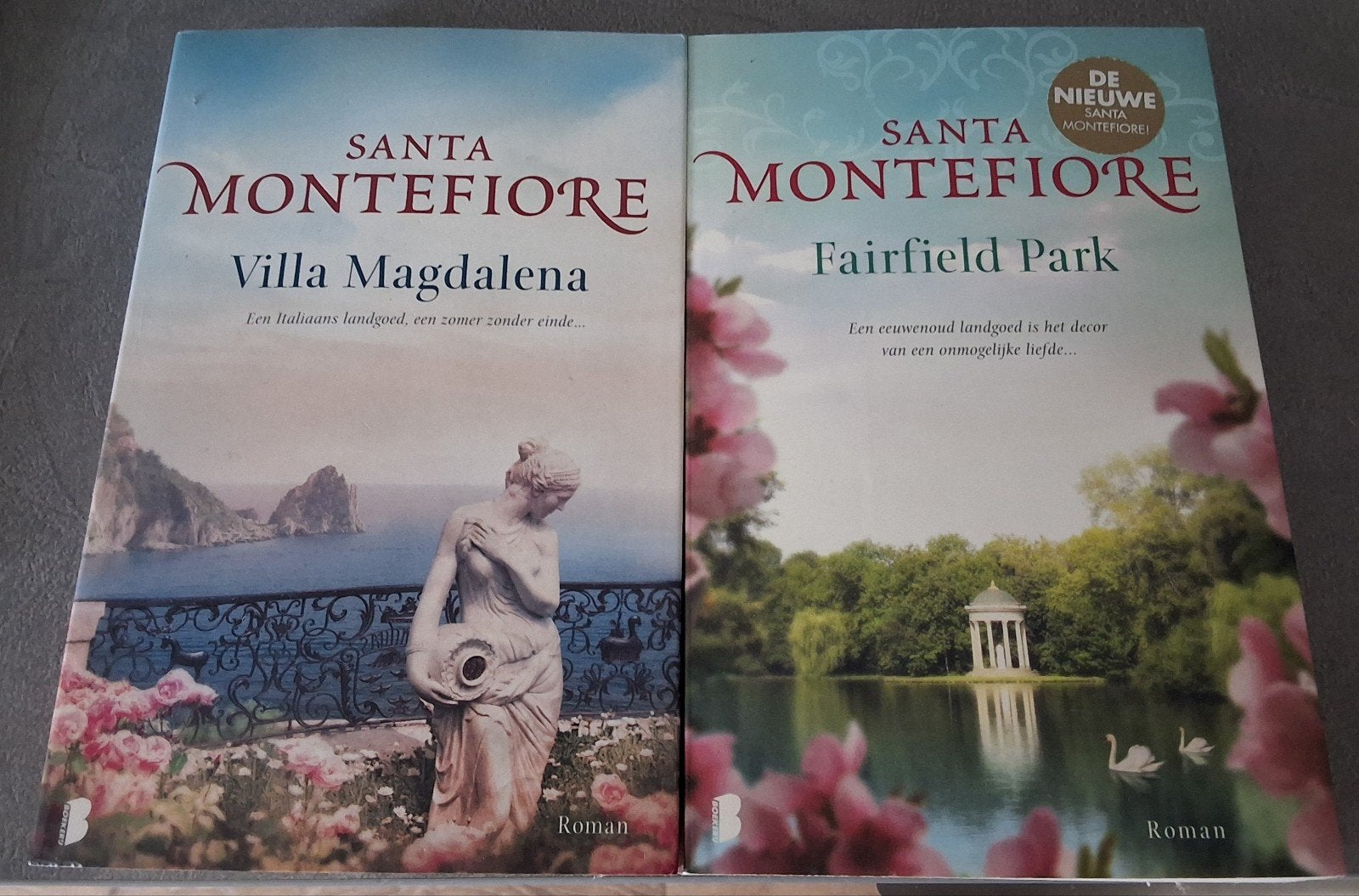 Santa MONTEFIORE, Ophalen, Gelezen