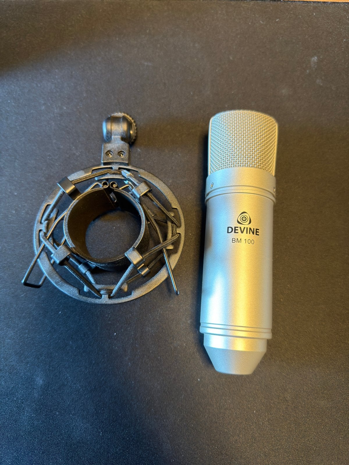 Devine BM 100 - condensator microfoon, Ophalen of Verzenden, Zo goed als nieuw, Studiomicrofoon