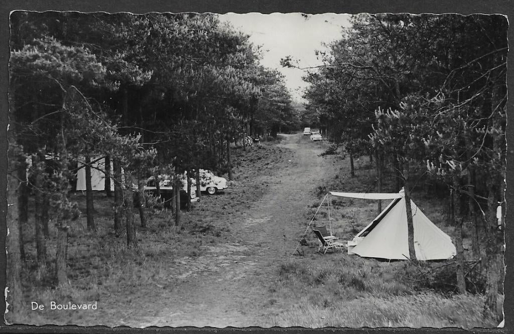 284 Luyksgestel de Zwarte bergen, Ophalen of Verzenden, Voor 1920, Gelopen, Noord-Brabant