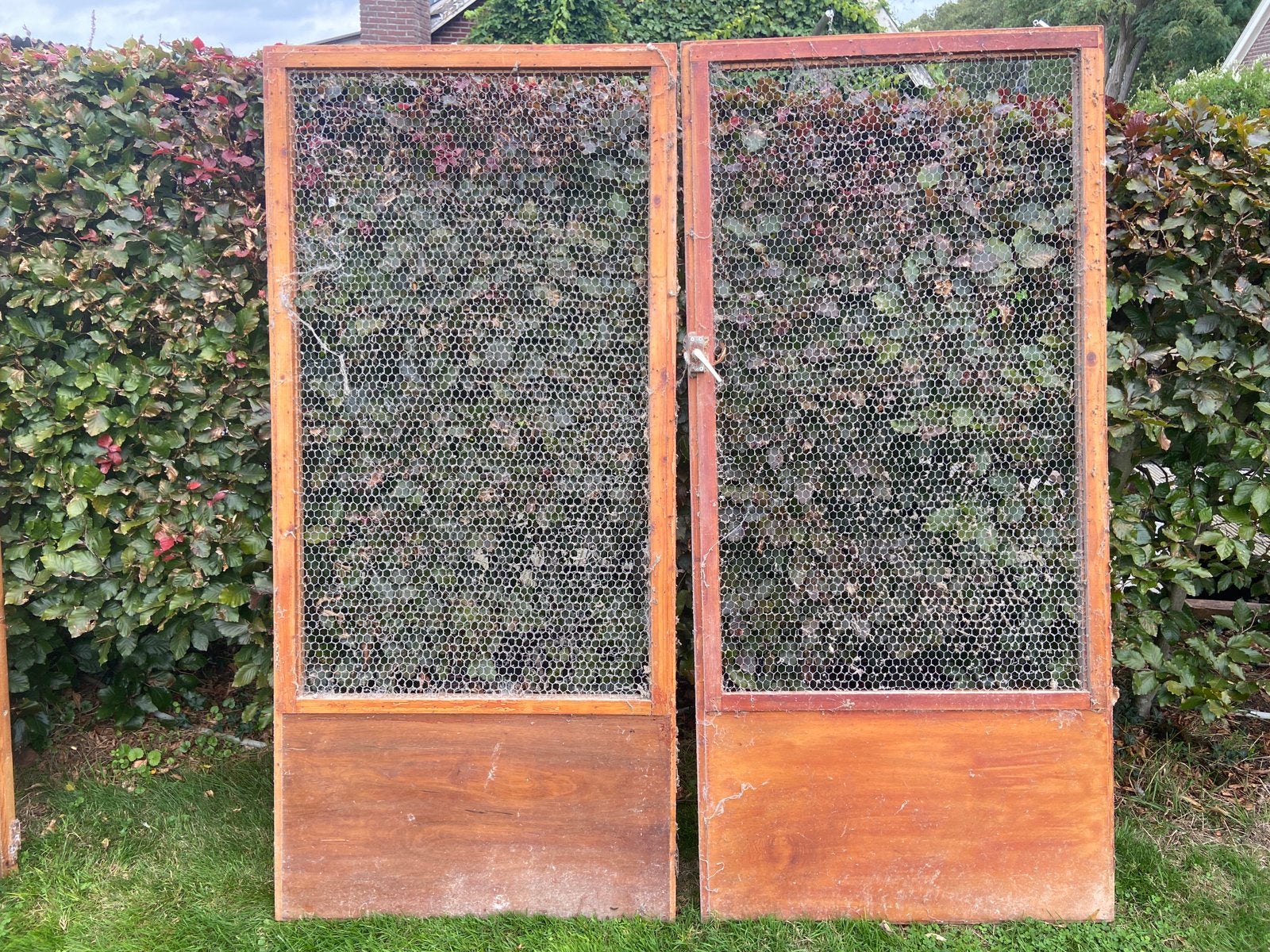 Deuren voor duiven of kippenhok, Ophalen, Zo goed als nieuw, Hout, 150 tot 200 cm